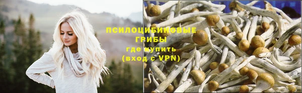 spice Магас