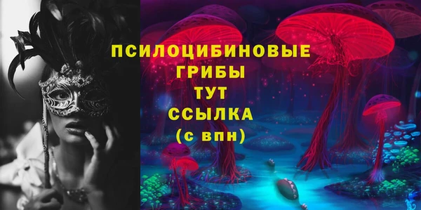 spice Магас